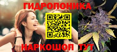 гашик Можга